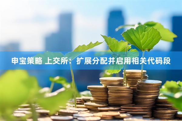 申宝策略 上交所：扩展分配并启用相关代码段