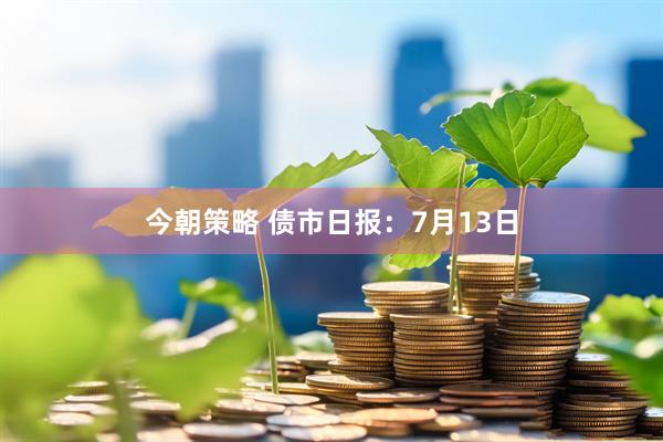 今朝策略 债市日报：7月13日